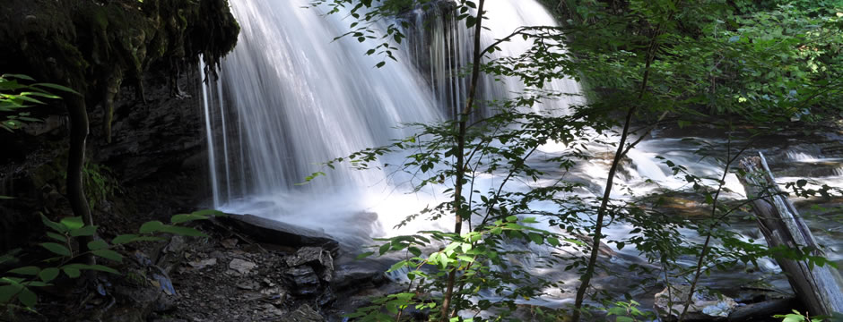 绿色轰炸工具版